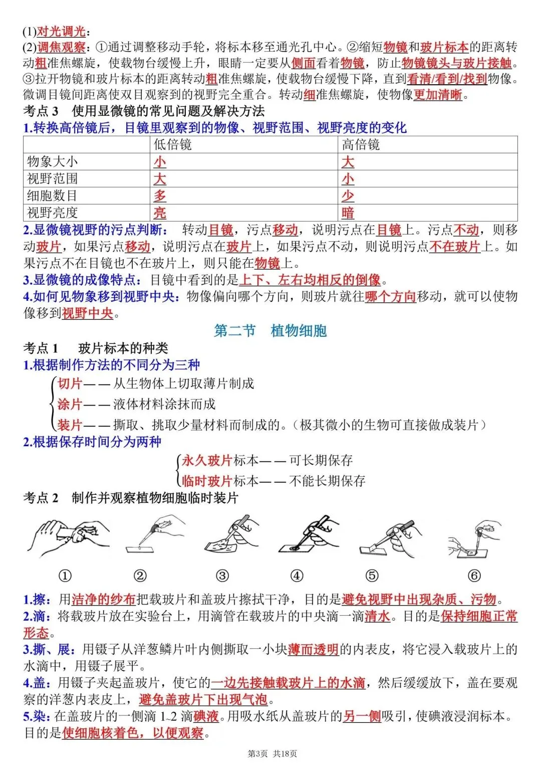 初一新教材七上生物全册课文考点知识点梳理背读总结电子打印版!(2026 新)-第3张图片-四季读书网 初一新教材七上生物全册课文考点知识点梳理背读总结电子打印版!(2026 新)-第3张图片-四季读书网