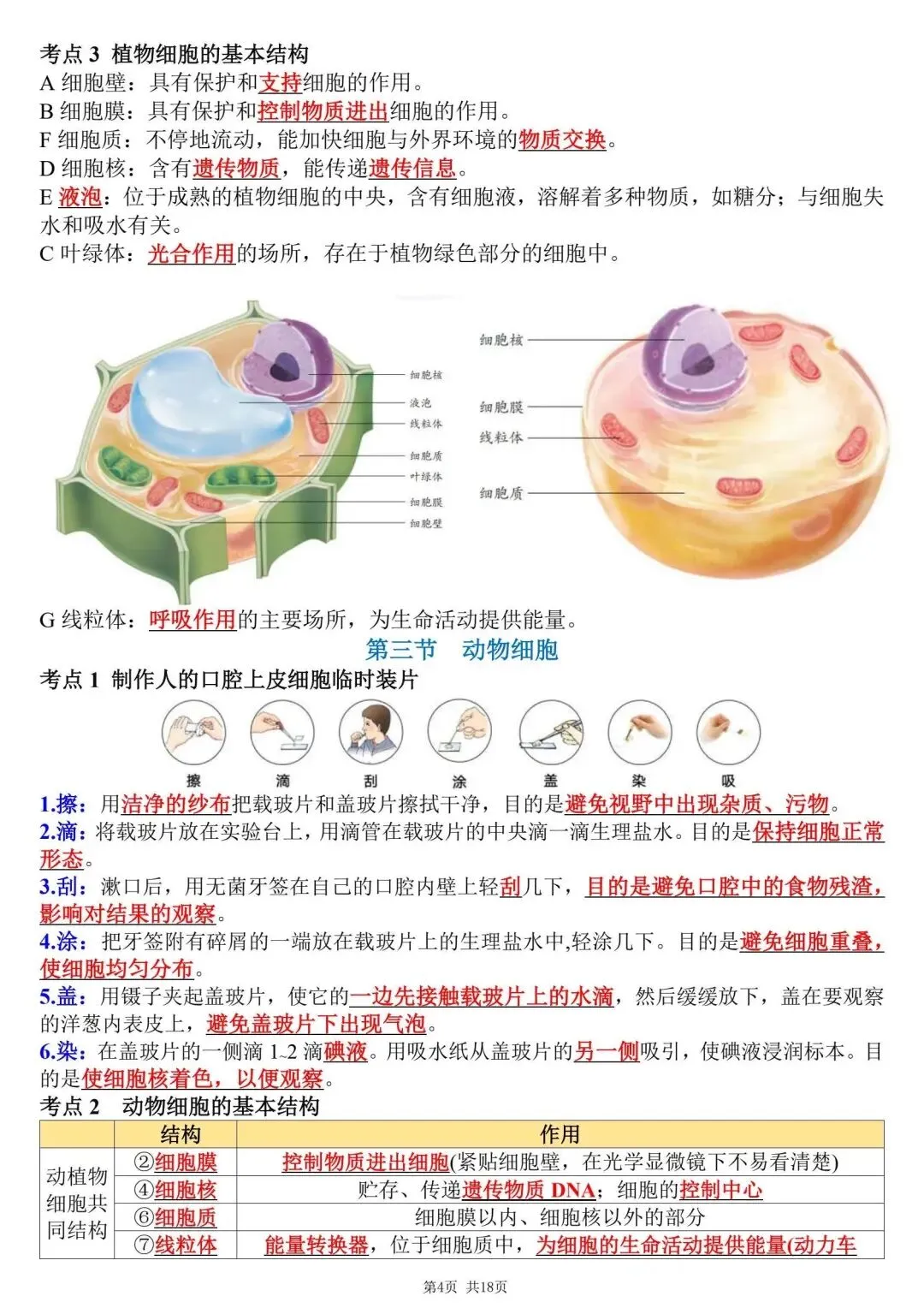 初一新教材七上生物全册课文考点知识点梳理背读总结电子打印版!(2026 新)-第4张图片-四季读书网 初一新教材七上生物全册课文考点知识点梳理背读总结电子打印版!(2026 新)-第4张图片-四季读书网