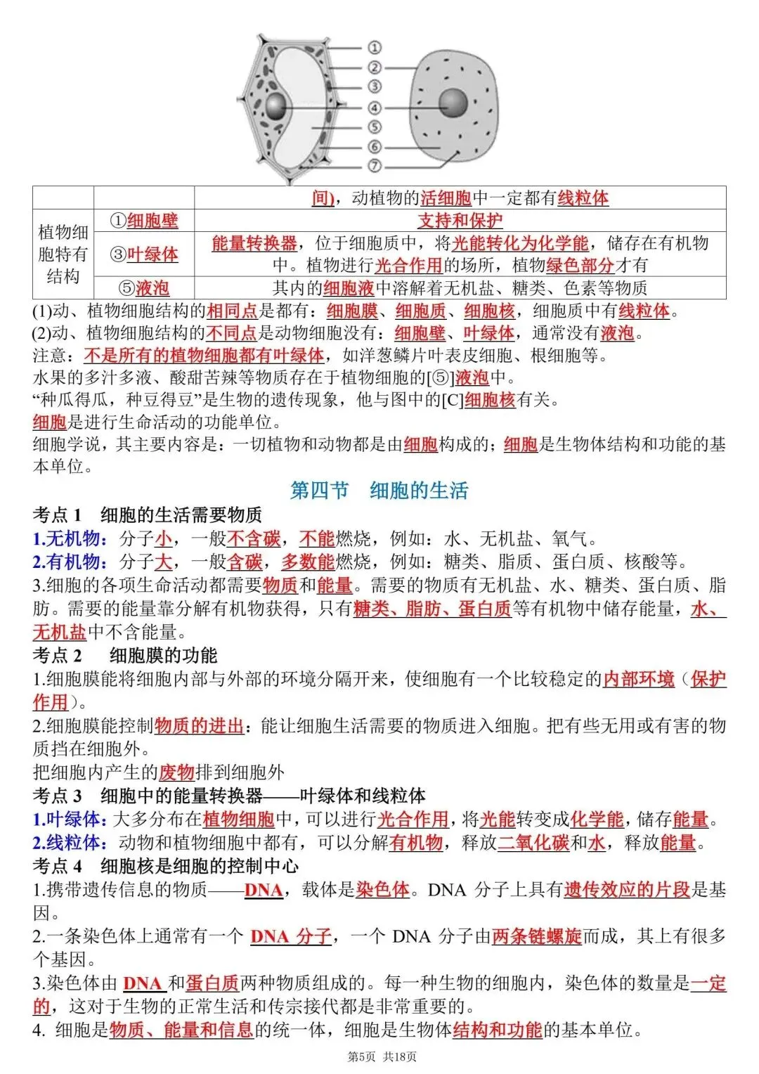 初一新教材七上生物全册课文考点知识点梳理背读总结电子打印版!(2026 新)-第5张图片-四季读书网 初一新教材七上生物全册课文考点知识点梳理背读总结电子打印版!(2026 新)-第5张图片-四季读书网