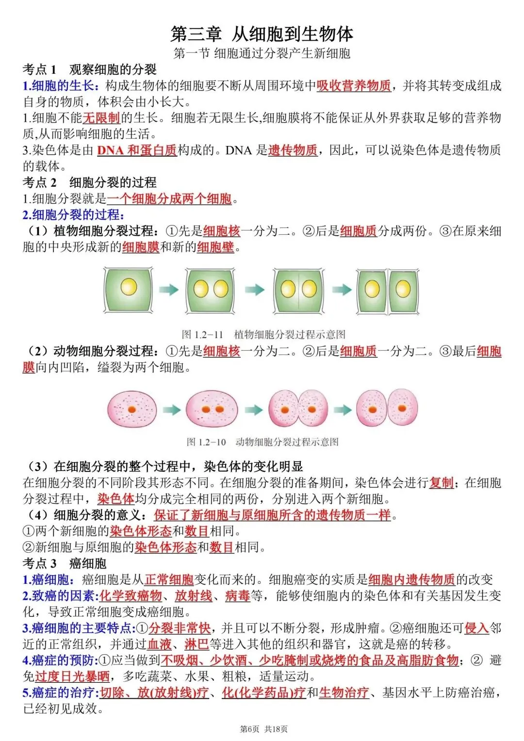 初一新教材七上生物全册课文考点知识点梳理背读总结电子打印版!(2026 新)-第6张图片-四季读书网 初一新教材七上生物全册课文考点知识点梳理背读总结电子打印版!(2026 新)-第6张图片-四季读书网