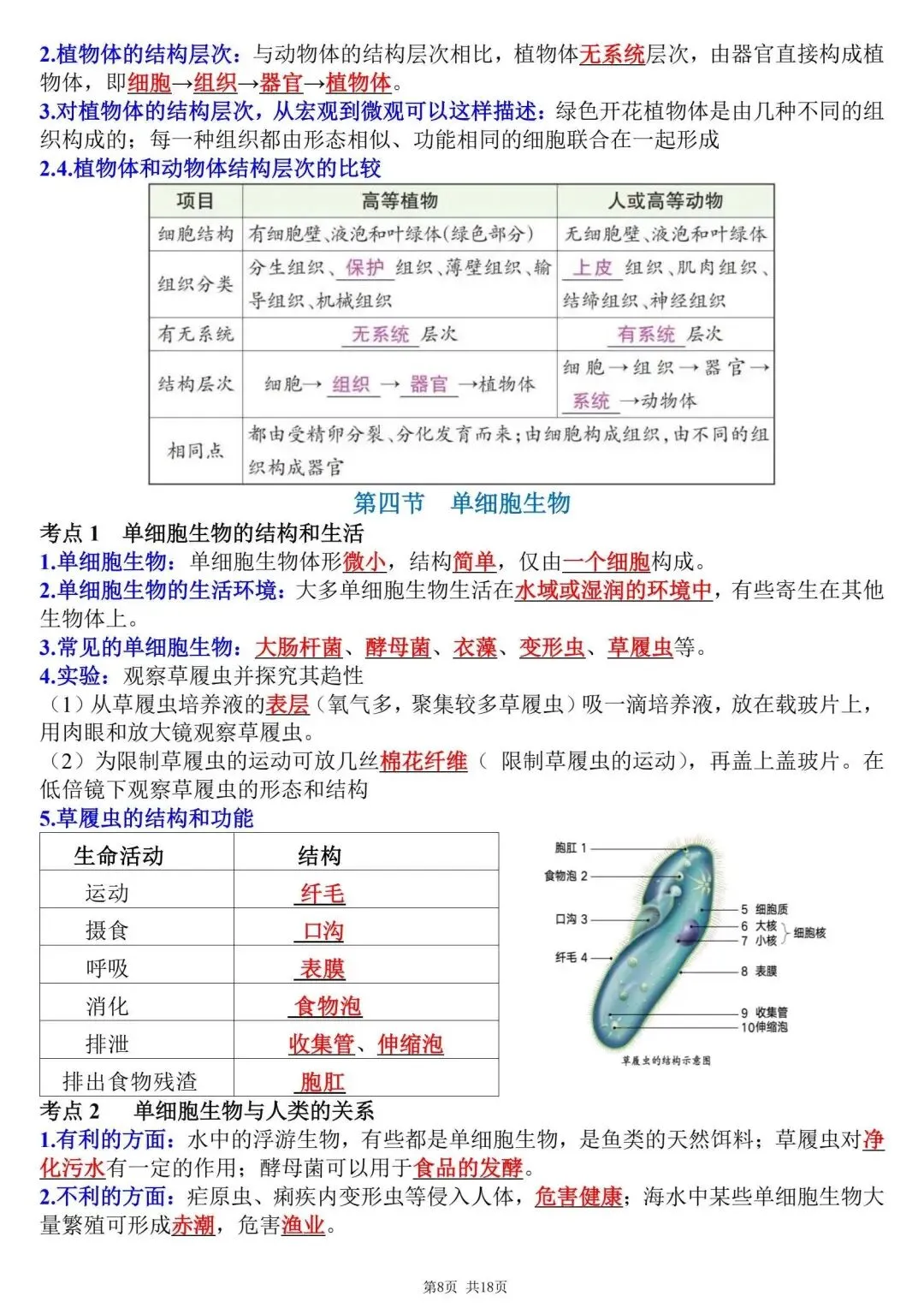 初一新教材七上生物全册课文考点知识点梳理背读总结电子打印版!(2026 新)-第9张图片-四季读书网 初一新教材七上生物全册课文考点知识点梳理背读总结电子打印版!(2026 新)-第9张图片-四季读书网