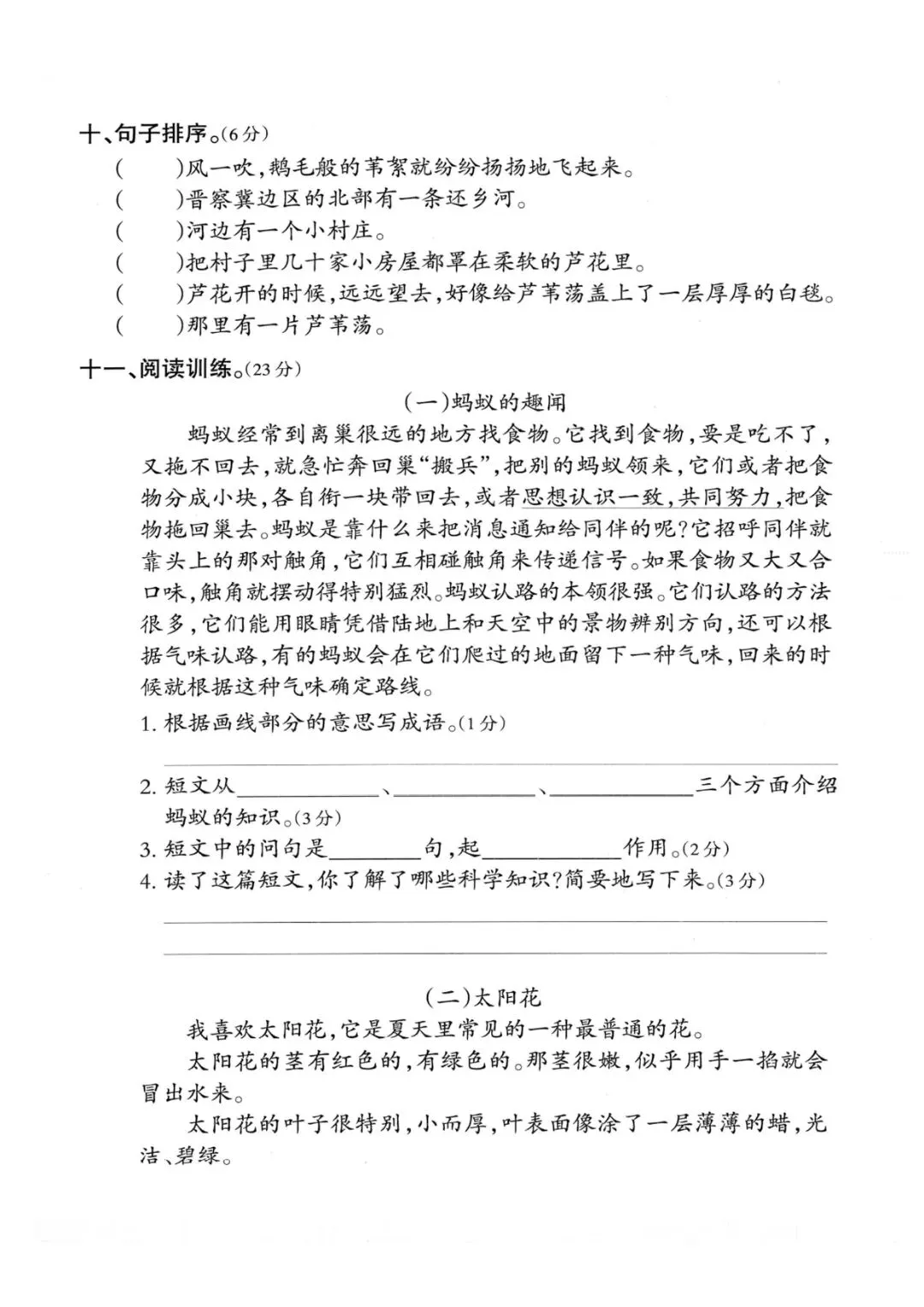 四级上册语文期中押题试卷5套含答案完整版可打印-第3张图片-四季读书网