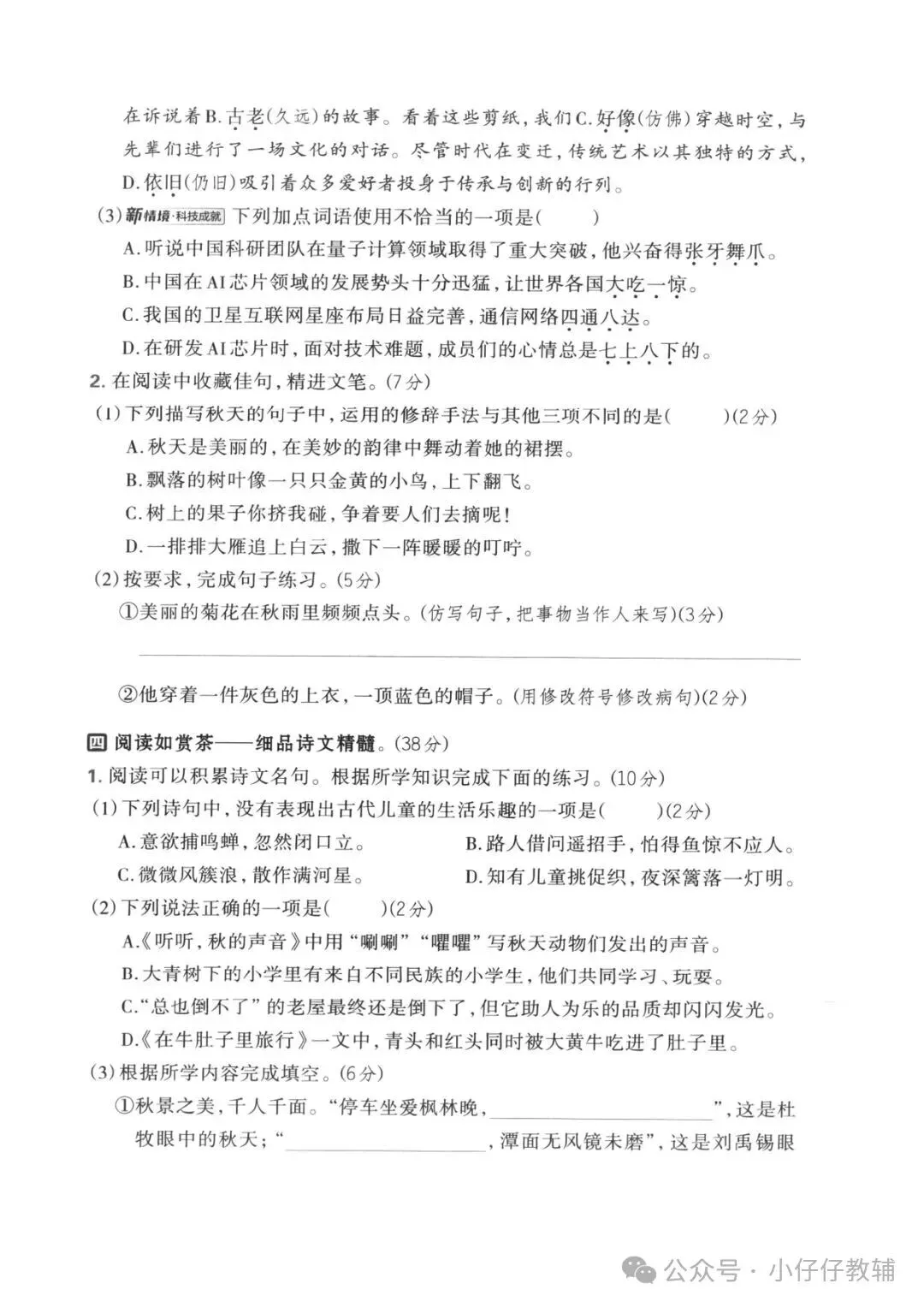三级上册语文期中押题试卷5套含答案完整版可打印-第6张图片-四季读书网