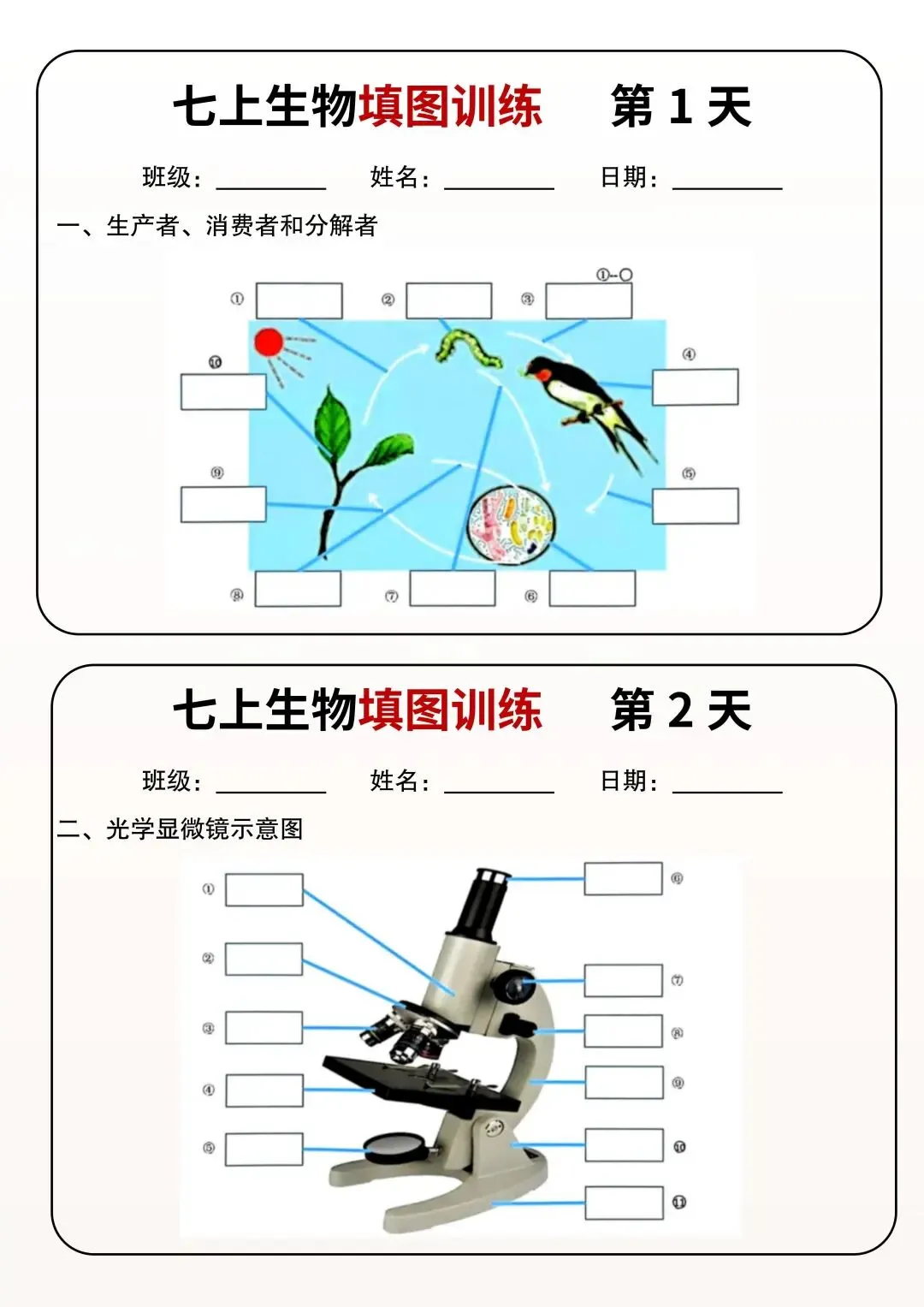 初一新教材七上小四门课文重点知识点梳理背读总结电子打印版!(2026 新)-第10张图片-四季读书网 初一新教材七上小四门课文重点知识点梳理背读总结电子打印版!(2026 新)-第10张图片-四季读书网