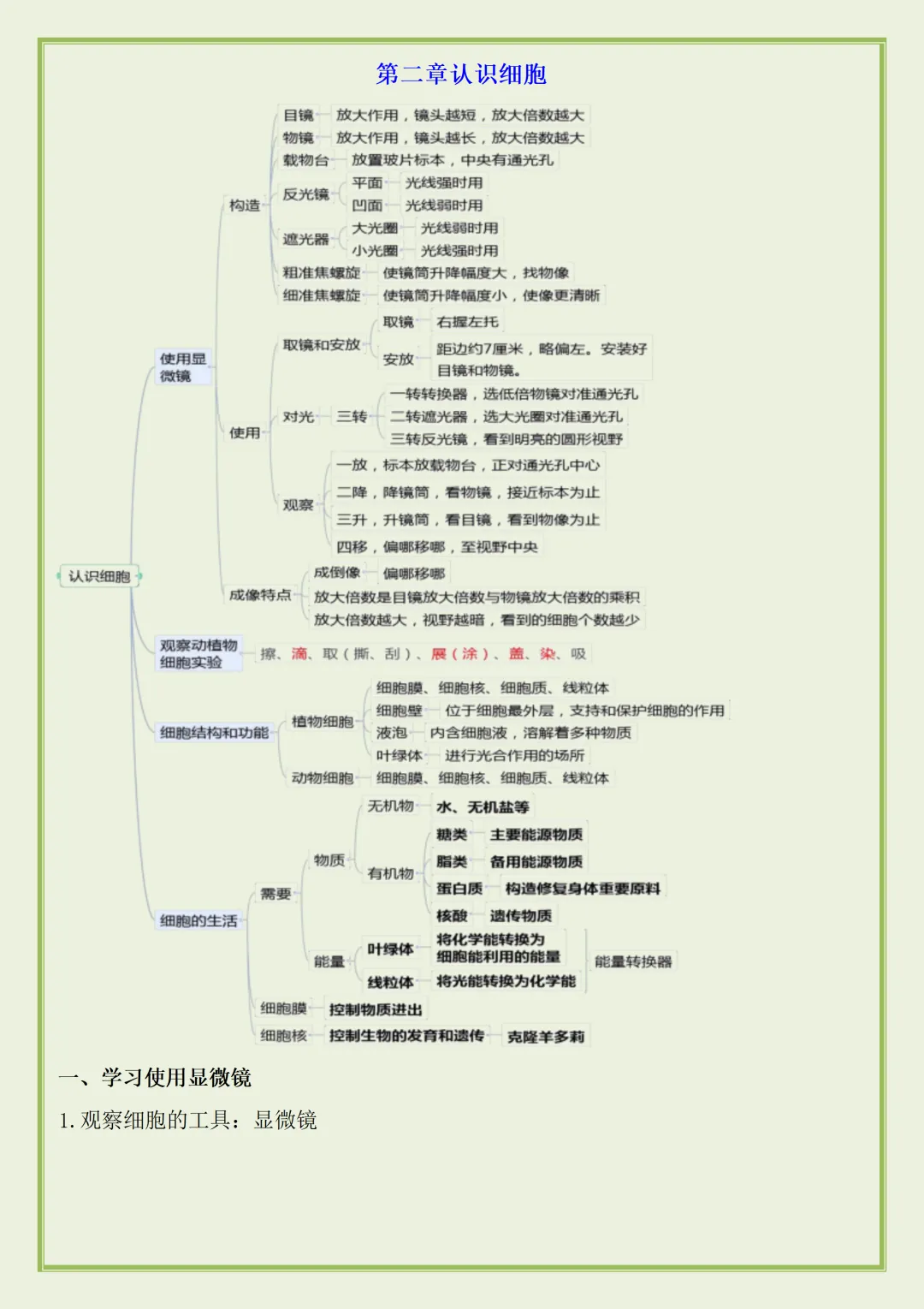初一 | 新教材七年级上册生物期中知识点总结归纳背诵清单,2026完整版可打印-第3张图片-四季读书网 初一 | 新教材七年级上册生物期中知识点总结归纳背诵清单,2026完整版可打印-第3张图片-四季读书网
