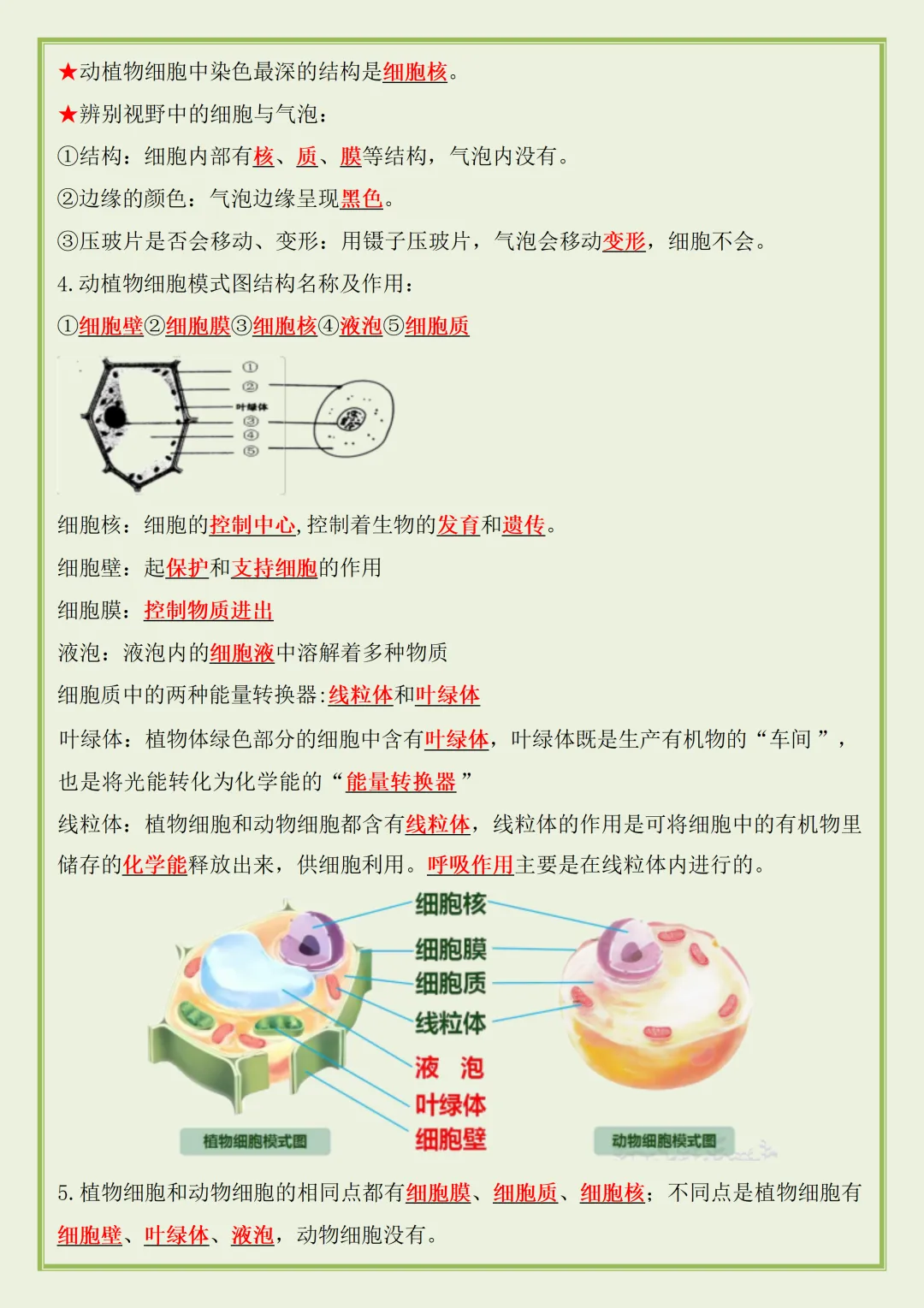 初一 | 新教材七年级上册生物期中知识点总结归纳背诵清单,2026完整版可打印-第6张图片-四季读书网 初一 | 新教材七年级上册生物期中知识点总结归纳背诵清单,2026完整版可打印-第6张图片-四季读书网