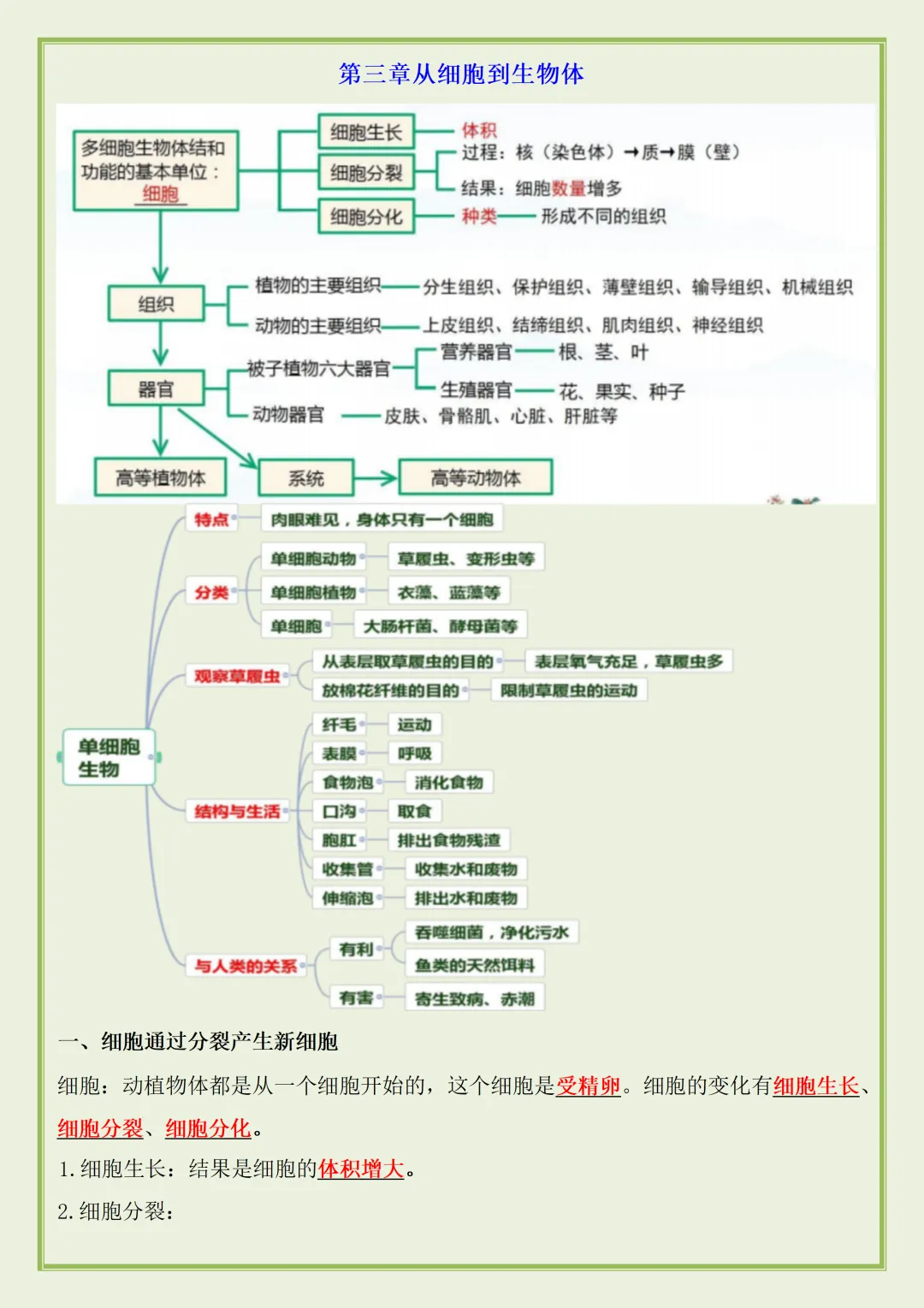 初一 | 新教材七年级上册生物期中知识点总结归纳背诵清单,2026完整版可打印-第8张图片-四季读书网 初一 | 新教材七年级上册生物期中知识点总结归纳背诵清单,2026完整版可打印-第8张图片-四季读书网