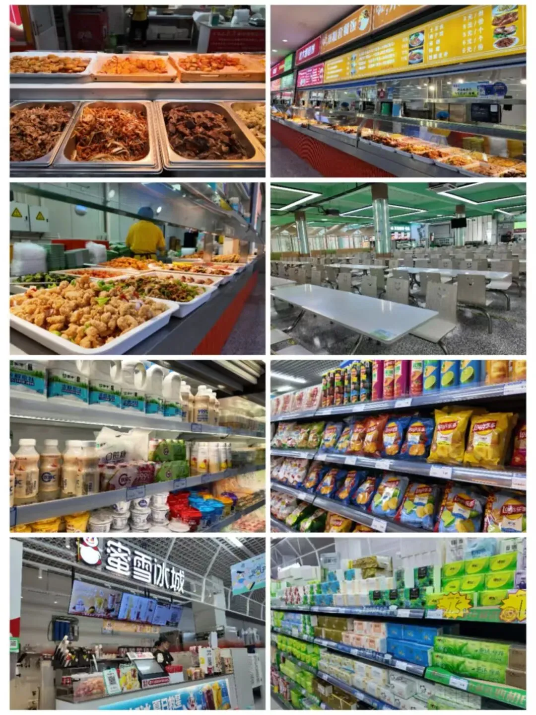 山东省春季高考专科学校分布图!-第5张图片-四季读书网 山东省春季高考专科学校分布图!-第5张图片-四季读书网
