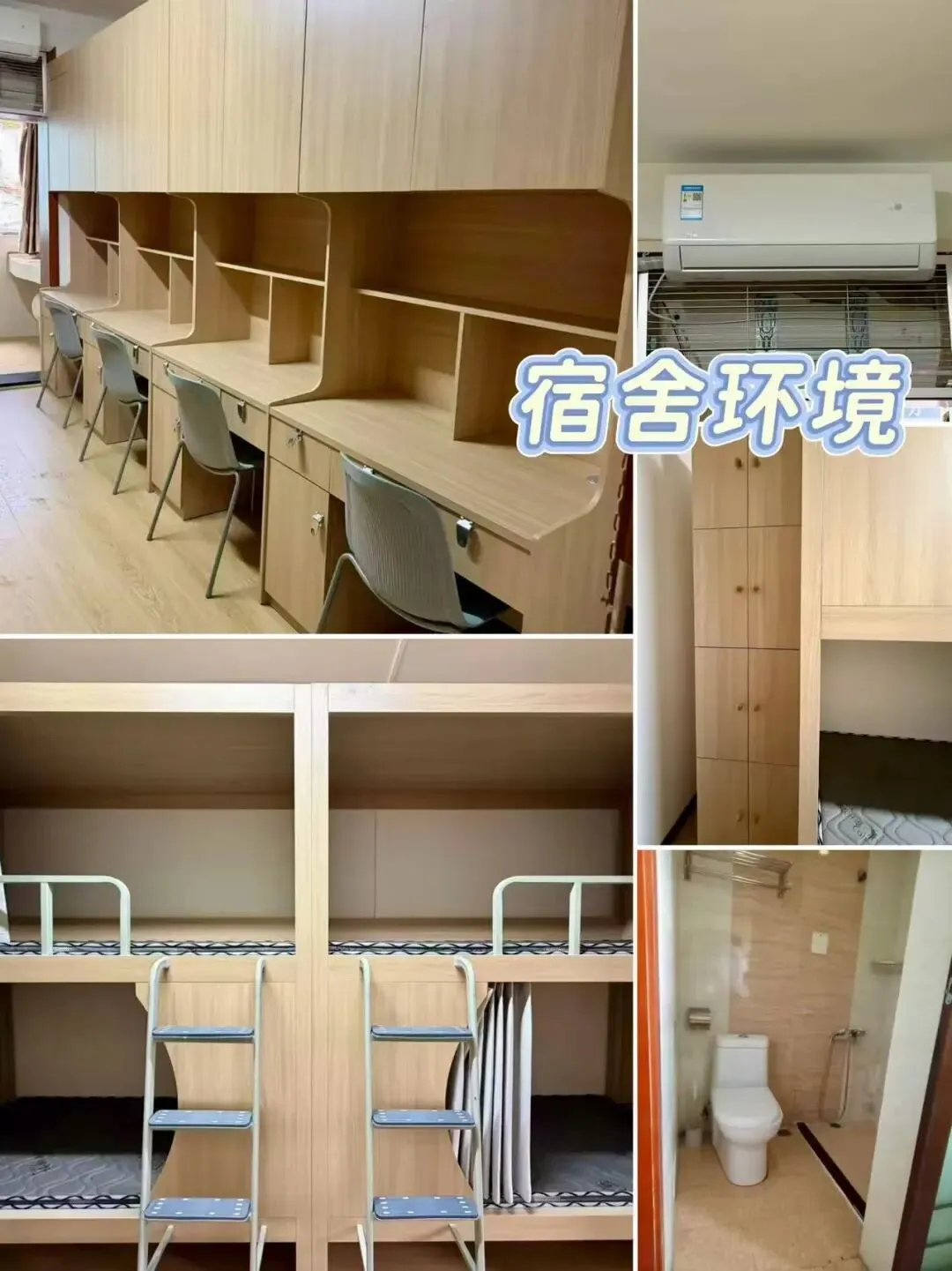 春季入学,不卷高考!西南财经大学国际本科2027年春季招生启动(1.5+2)-第5张图片-四季读书网