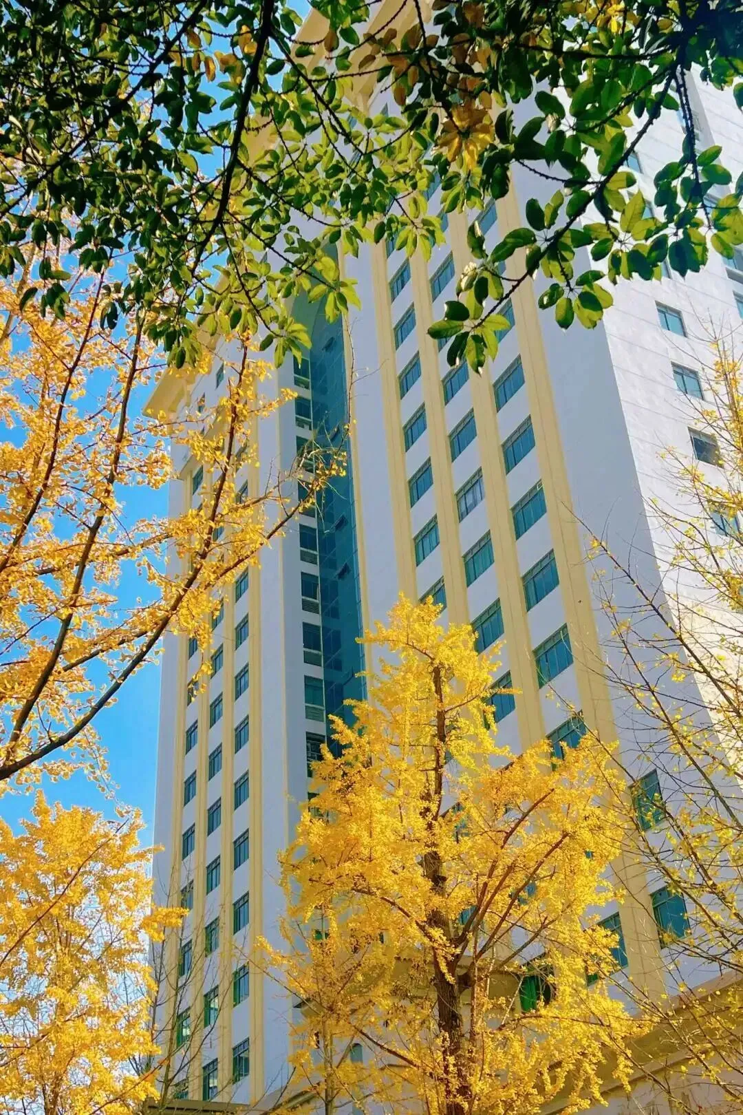 春季入学,不卷高考!西南财经大学国际本科2027年春季招生启动(1.5+2)-第7张图片-四季读书网