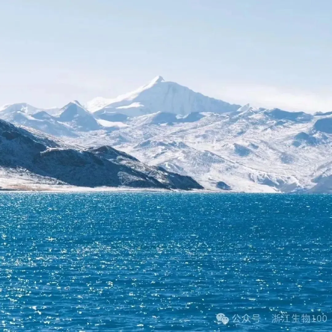 2024年11月浙江各地高三一模生物试卷、答案、解析、赋分表汇总(可下载)-第3张图片-四季读书网