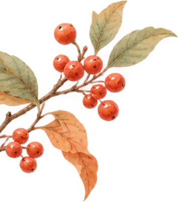 哪些同学中考可以加分?可以加多少分?需要提交哪些材料呢?这篇文章一次性讲清!快点击收藏起来吧~-第1张图片-四季读书网 哪些同学中考可以加分?可以加多少分?需要提交哪些材料呢?这篇文章一次性讲清!快点击收藏起来吧~-第1张图片-四季读书网