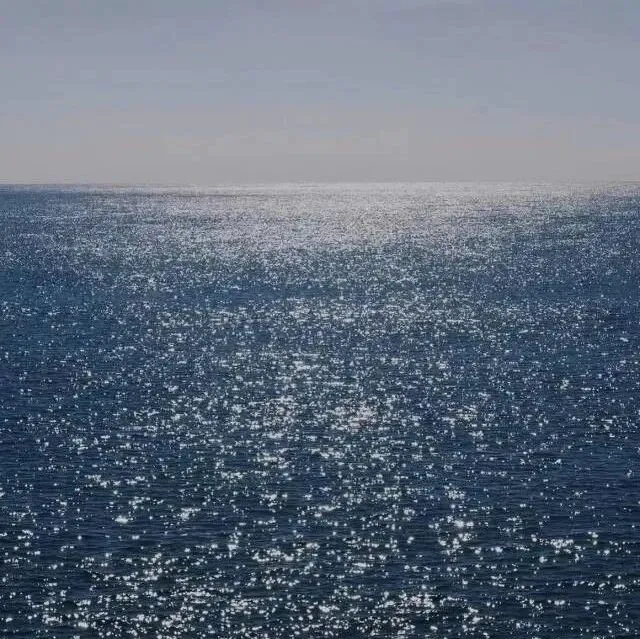2024年11月浙江各地高三一模生物试卷、答案、解析、赋分表汇总(可下载)-第17张图片-四季读书网