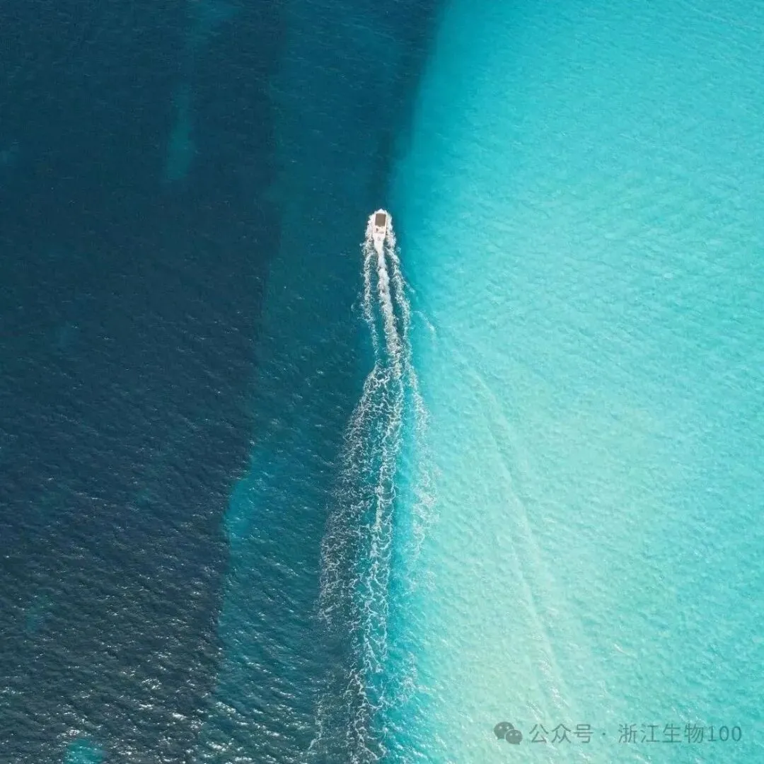 2024年11月浙江各地高三一模生物试卷、答案、解析、赋分表汇总(可下载)-第18张图片-四季读书网