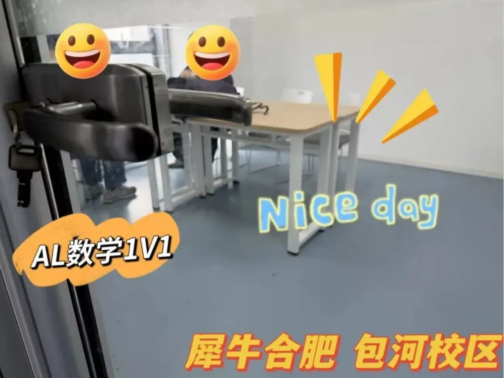 合肥犀牛Alevel课程:全科目覆盖,真题模考+升学规划一站式搞定!-第2张图片-四季读书网