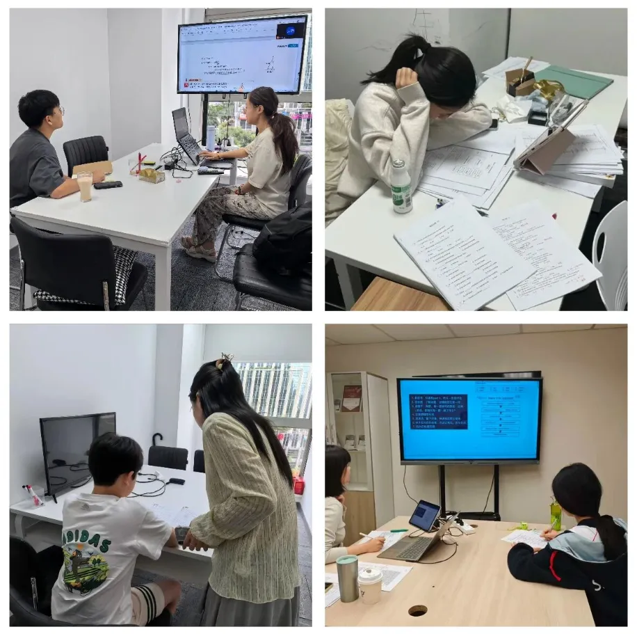 合肥犀牛Alevel课程:全科目覆盖,真题模考+升学规划一站式搞定!-第15张图片-四季读书网