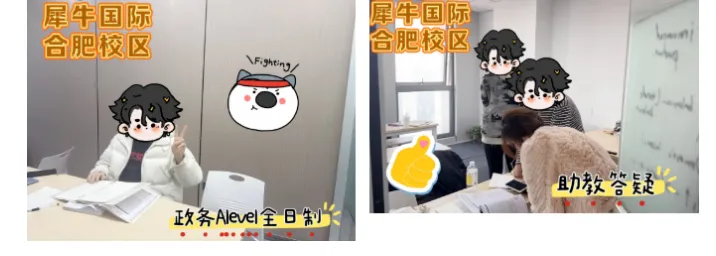 合肥犀牛Alevel课程:全科目覆盖,真题模考+升学规划一站式搞定!-第16张图片-四季读书网
