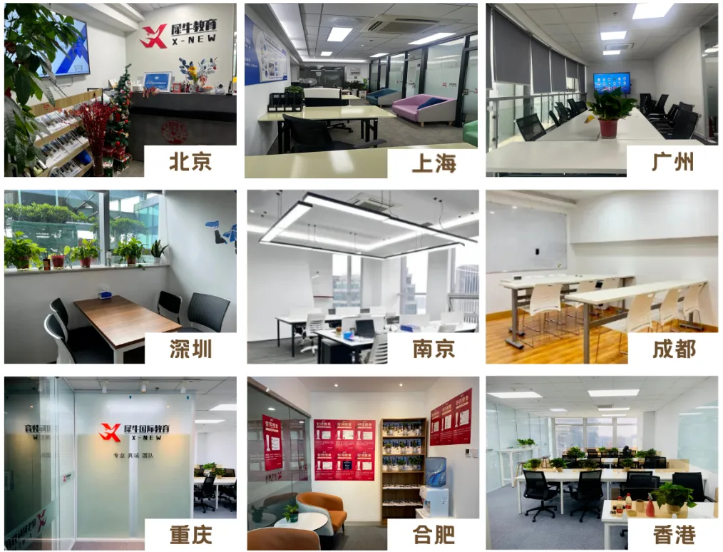 合肥犀牛Alevel课程:全科目覆盖,真题模考+升学规划一站式搞定!-第29张图片-四季读书网