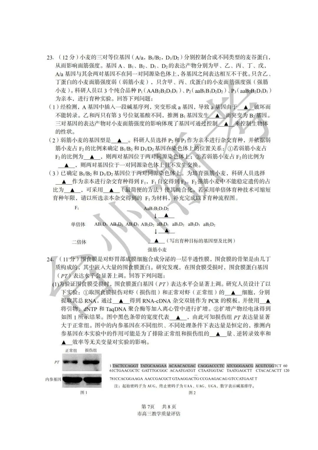 迎战台州一模|往届一模真题全套整理,高三必练!-第51张图片-四季读书网 迎战台州一模|往届一模真题全套整理,高三必练!-第51张图片-四季读书网