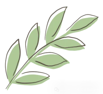 深耕核心素养 共研高效课堂——江山市高考语文复习研讨会暨江山市青年语文教师研究会10月份活动-第12张图片-四季读书网 深耕核心素养 共研高效课堂——江山市高考语文复习研讨会暨江山市青年语文教师研究会10月份活动-第12张图片-四季读书网