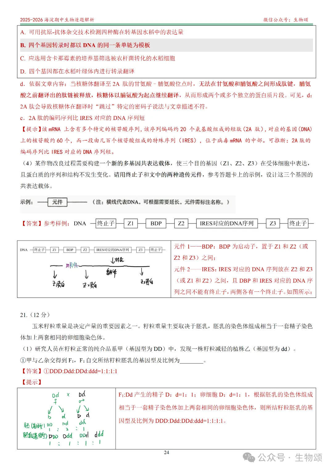 【逐题解析+回归教材+回归真题】2025-2026海淀期中(上)高三生物(全网唯一)-第24张图片-四季读书网