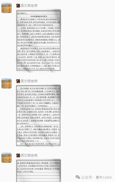 苦练内功 向阳而学 迎接期中考 | 麓外C2410班九上第八周周刊-第57张图片-四季读书网 苦练内功 向阳而学 迎接期中考 | 麓外C2410班九上第八周周刊-第57张图片-四季读书网