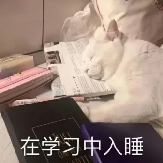 《初三快速提分指南》-第3张图片-四季读书网 《初三快速提分指南》-第3张图片-四季读书网