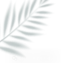 初一英语,背诵到底有没有用-第1张图片-四季读书网 初一英语,背诵到底有没有用-第1张图片-四季读书网