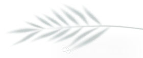 初一英语,背诵到底有没有用-第4张图片-四季读书网 初一英语,背诵到底有没有用-第4张图片-四季读书网