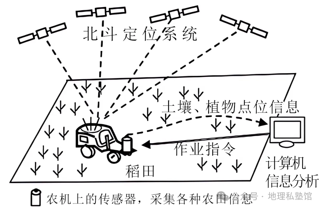高考地理综合题限时练(108)农业区位因素的变化-第4张图片-四季读书网