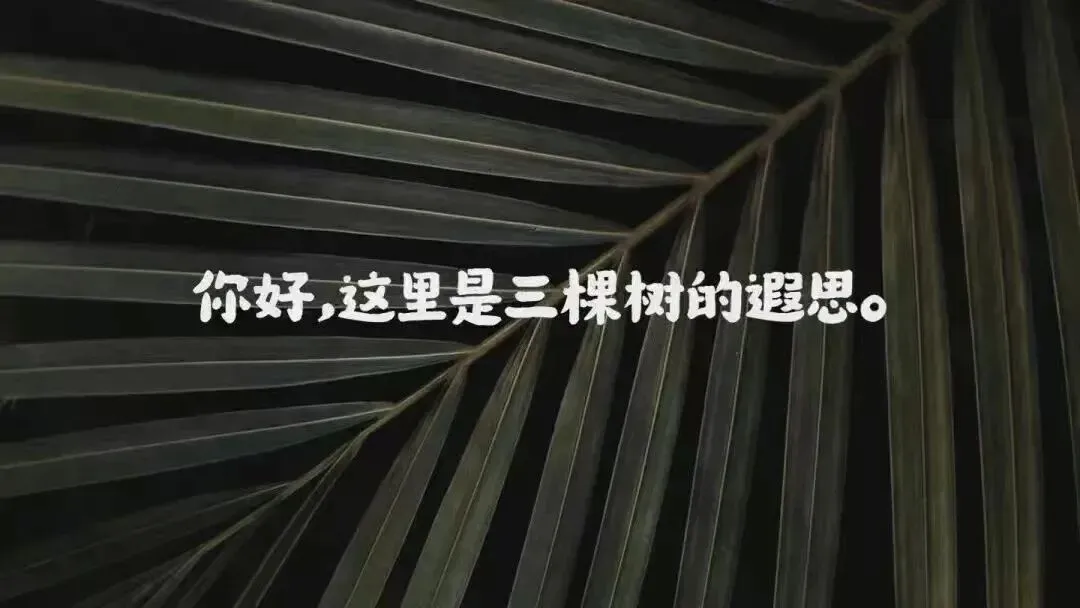 2026年10月天域全国名校协作体联考试卷阅读语法讲评课件-第1张图片-四季读书网