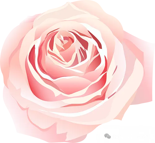 热文推荐|《高考后妈给我下药后,悔疯了》后续大结局 沈南星、林丽华、沈明远 全文已完结-第2张图片-四季读书网 热文推荐|《高考后妈给我下药后,悔疯了》后续大结局 沈南星、林丽华、沈明远 全文已完结-第2张图片-四季读书网