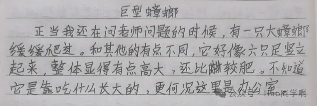 初三 第八周-第2张图片-四季读书网