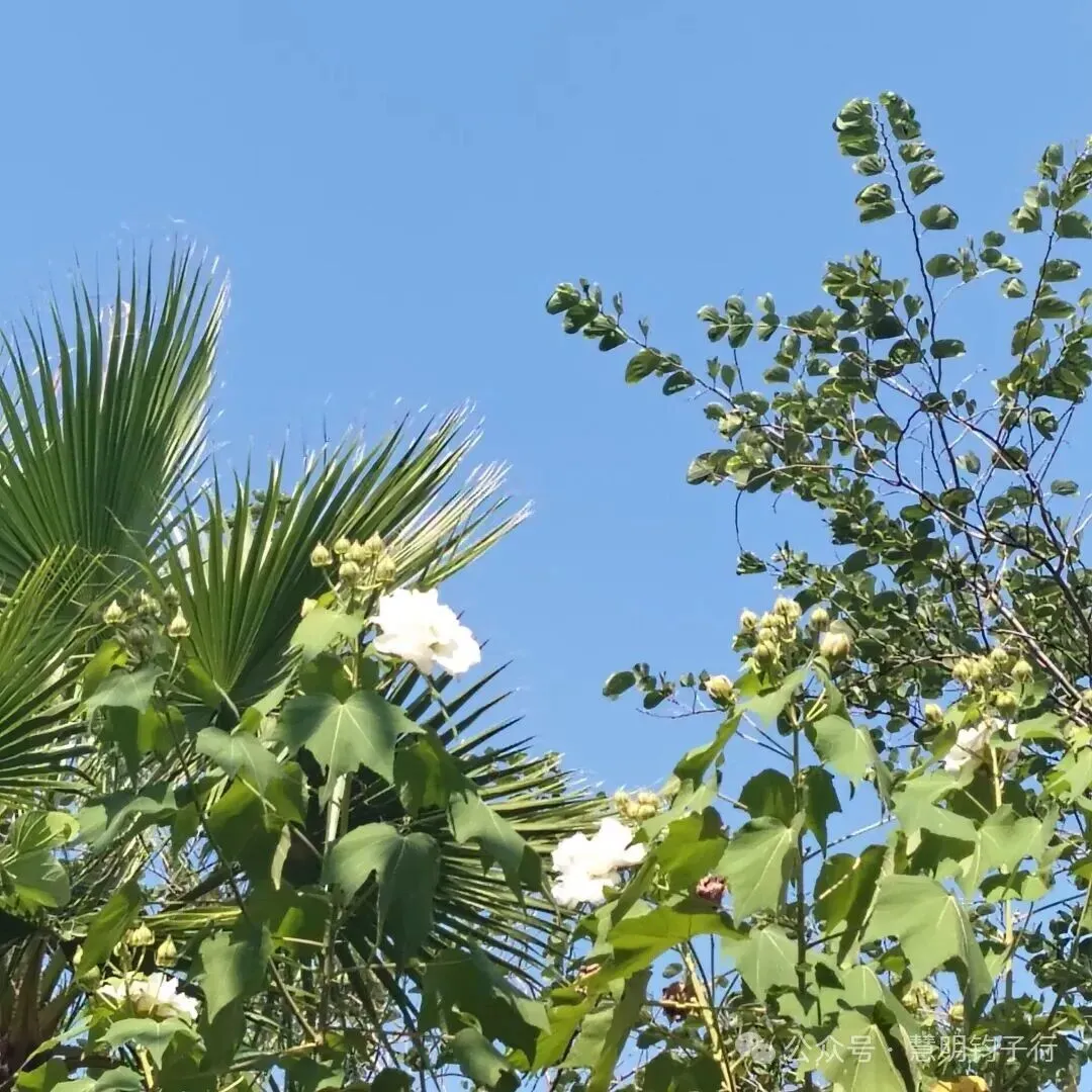 高考倒计时593天|以科学深耕学业,以修行滋养身心-第1张图片-四季读书网