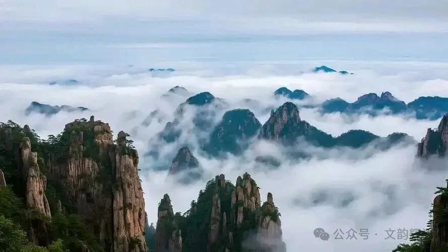 【中考作文精析】捡拾幸福-第2张图片-四季读书网