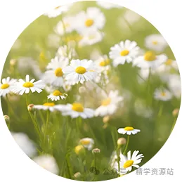 中考易错100题-第23张图片-四季读书网 中考易错100题-第23张图片-四季读书网