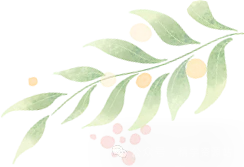 中考易错100题-第31张图片-四季读书网 中考易错100题-第31张图片-四季读书网
