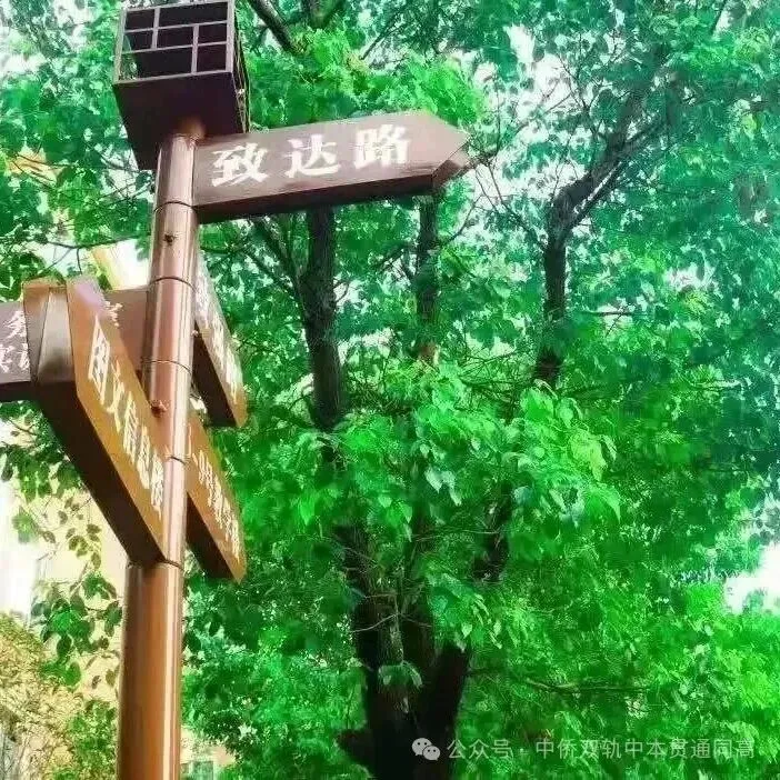 学雅思,会不会耽误高考?| 中侨同高双轨班给你一个明确答案-第19张图片-四季读书网