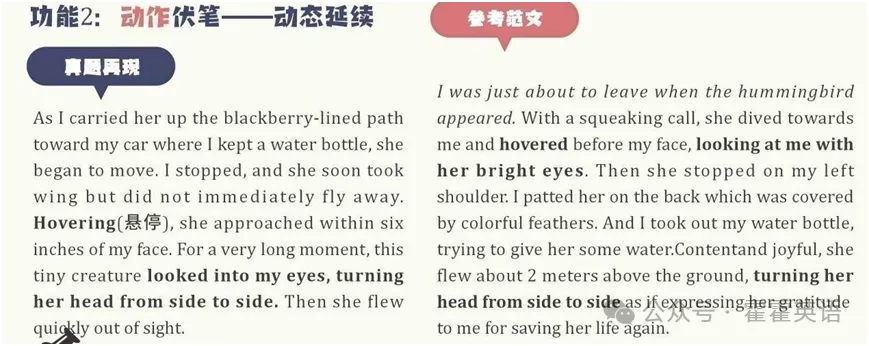 高考英语读后续写----抓伏笔,巧呼应-第3张图片-四季读书网 高考英语读后续写----抓伏笔,巧呼应-第3张图片-四季读书网