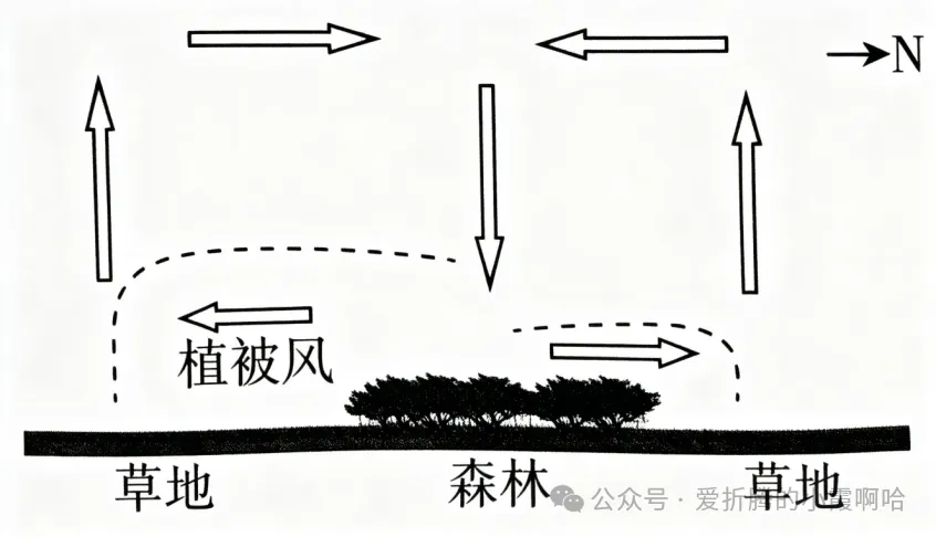 2027届高三地理+考前预测选择题试卷(全国通用)-第19张图片-四季读书网 2027届高三地理+考前预测选择题试卷(全国通用)-第19张图片-四季读书网