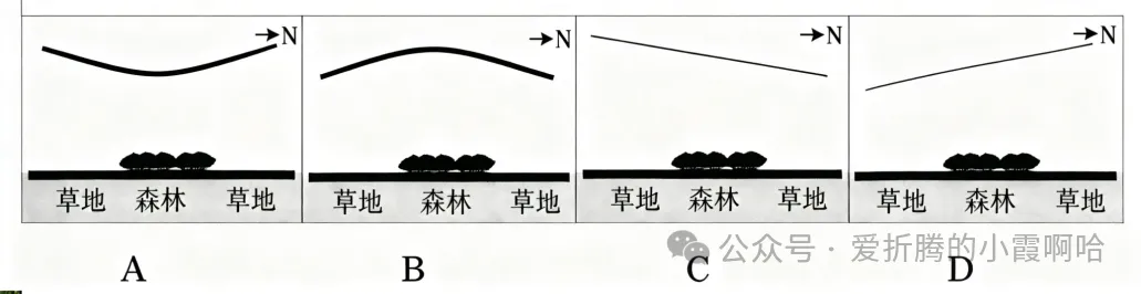 2027届高三地理+考前预测选择题试卷(全国通用)-第20张图片-四季读书网 2027届高三地理+考前预测选择题试卷(全国通用)-第20张图片-四季读书网