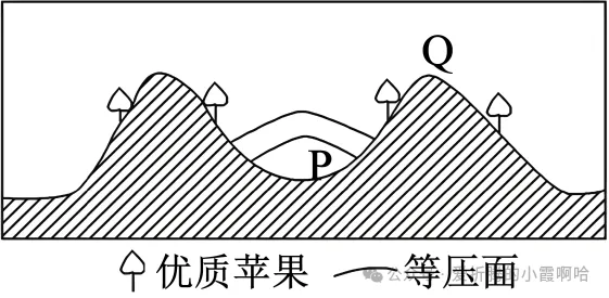 2027届高三地理+考前预测选择题试卷(全国通用)-第24张图片-四季读书网 2027届高三地理+考前预测选择题试卷(全国通用)-第24张图片-四季读书网