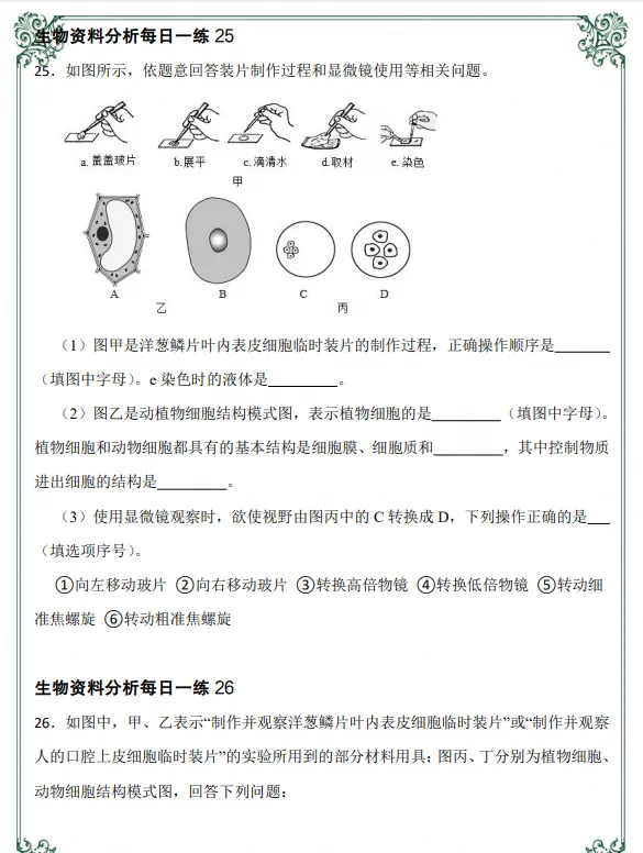 初一|七年级上册生物《全册知识点资料分析每日一练》,共54页含答案,可打印练习-第5张图片-四季读书网