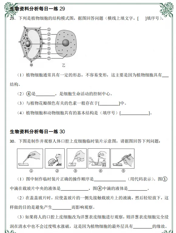初一|七年级上册生物《全册知识点资料分析每日一练》,共54页含答案,可打印练习-第6张图片-四季读书网