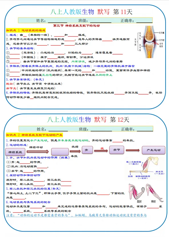 初二|八年级上册生物《人教版生物知识点默写+背诵》,共38页,可打印练习-第2张图片-四季读书网