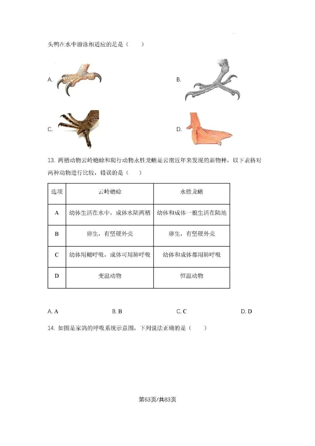 初三上学期各科期中试卷汇总-第63张图片-四季读书网