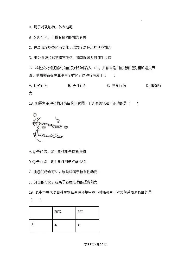 初三上学期各科期中试卷汇总-第65张图片-四季读书网