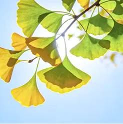 广东省衡水金卷27届高三10月联考日语试卷-第14张图片-四季读书网