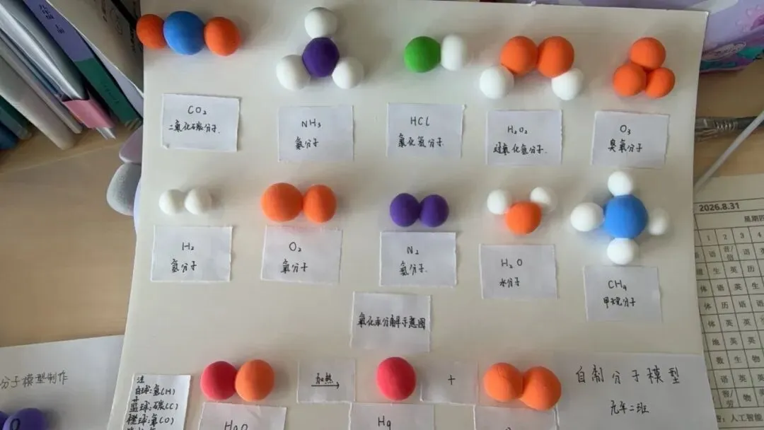 研新教材,育核心素养——初三学科特色作业展-第41张图片-四季读书网 研新教材,育核心素养——初三学科特色作业展-第41张图片-四季读书网