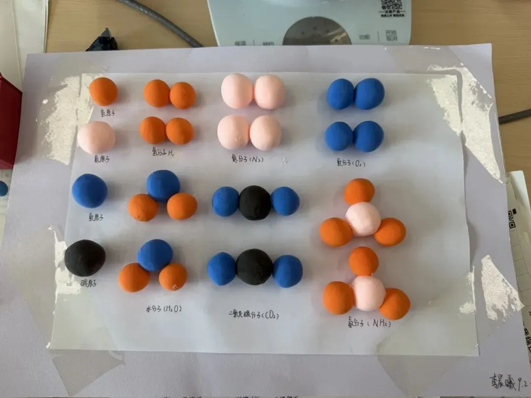 研新教材,育核心素养——初三学科特色作业展-第43张图片-四季读书网 研新教材,育核心素养——初三学科特色作业展-第43张图片-四季读书网